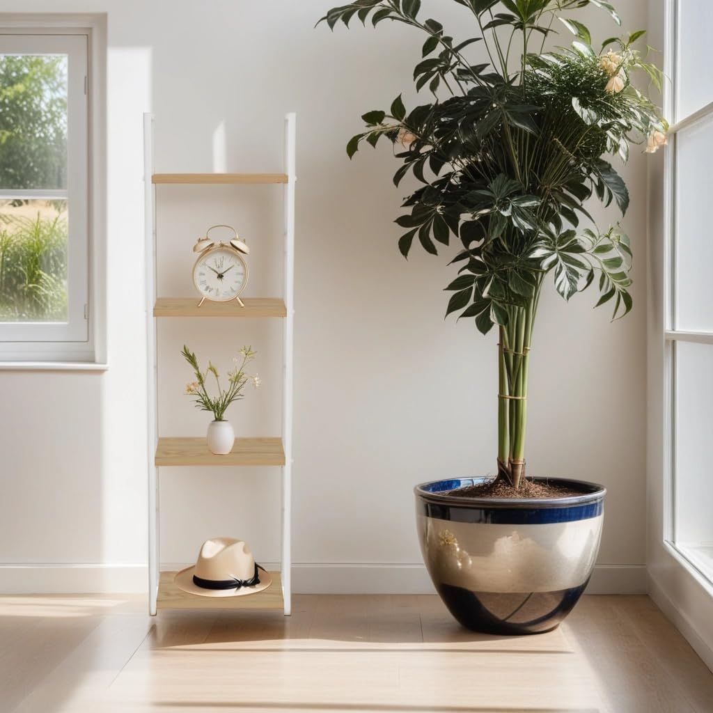 アオアシ34巻セット➕ブラザーフット　値下げあり！ アオアシ34巻セット➕ブラザーフット 値下げあり！ アオアシ 1巻