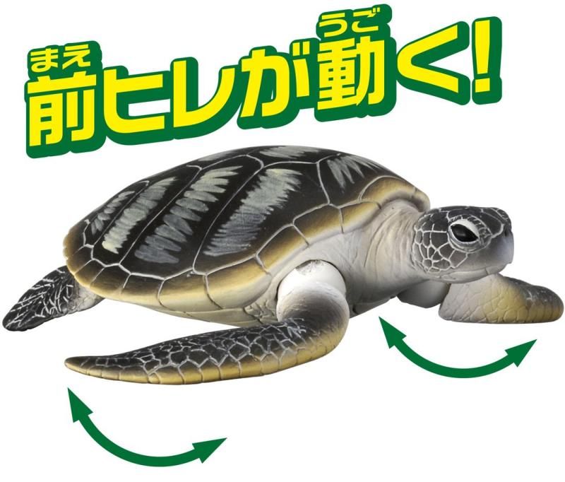 タカラトミー 『 アニア AS-20 アオウミガメ 』 動物 恐竜