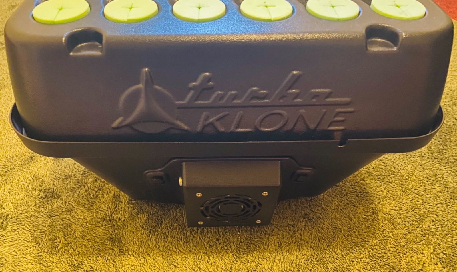 ターボクローン24株