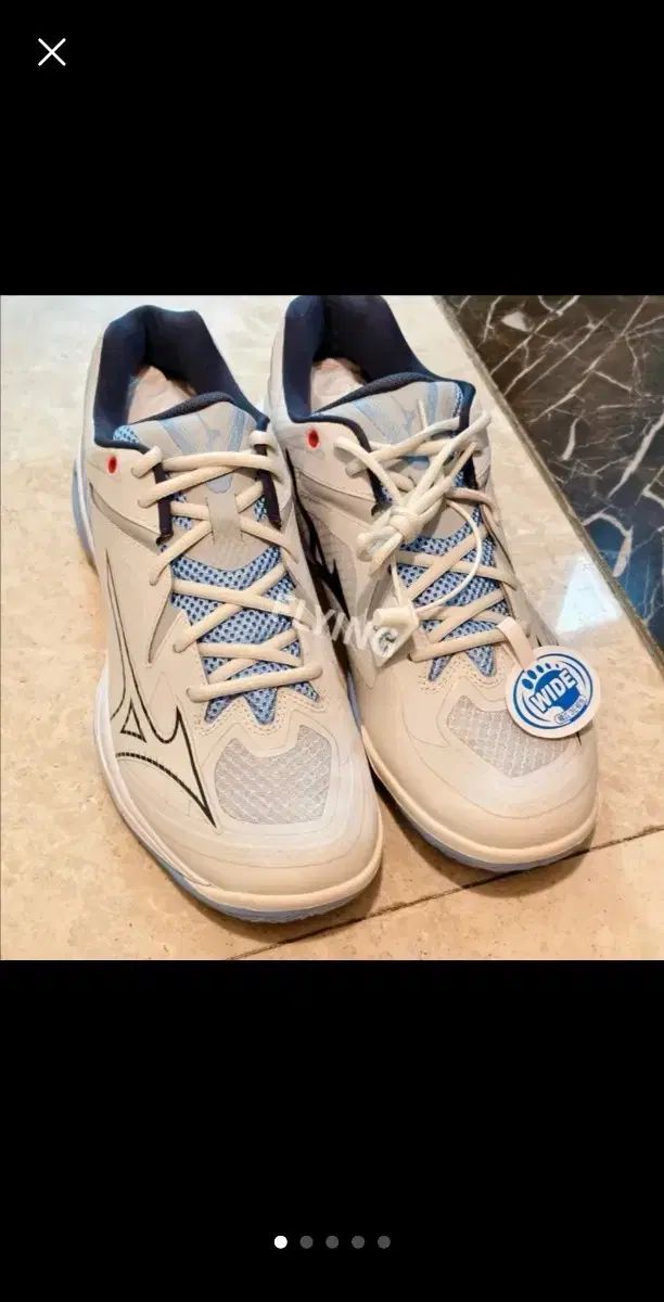 Mizuno ミズノ 波 爪 3 室内履き バドミントンシューズ スカッシュシューズ