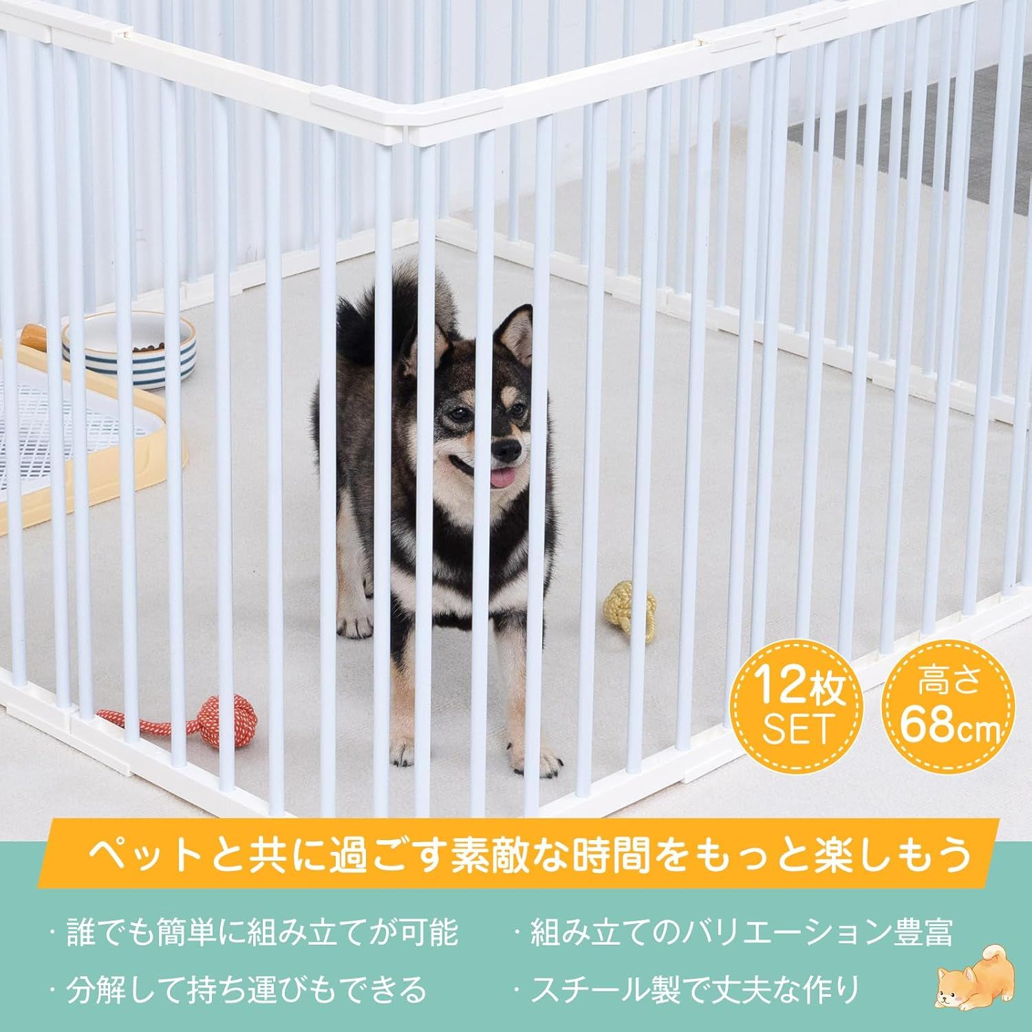 犬 サークル