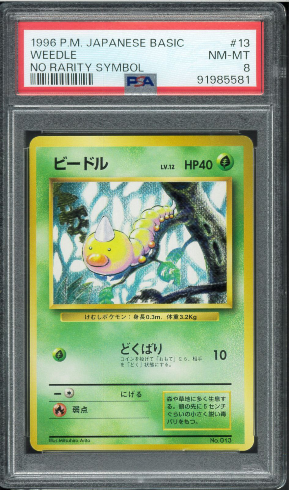 【PSA10 初版】ビードル ポケモン 旧裏 初版 マークなし WEEDLE PSA8 ビードル 初版 マークなし No Rarity Symbol 旧裏 旧裏面 拡張