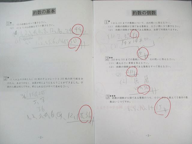 SAPIX 小5 サピックス デイリー/サマー/サポート 算数 通年セット 【計