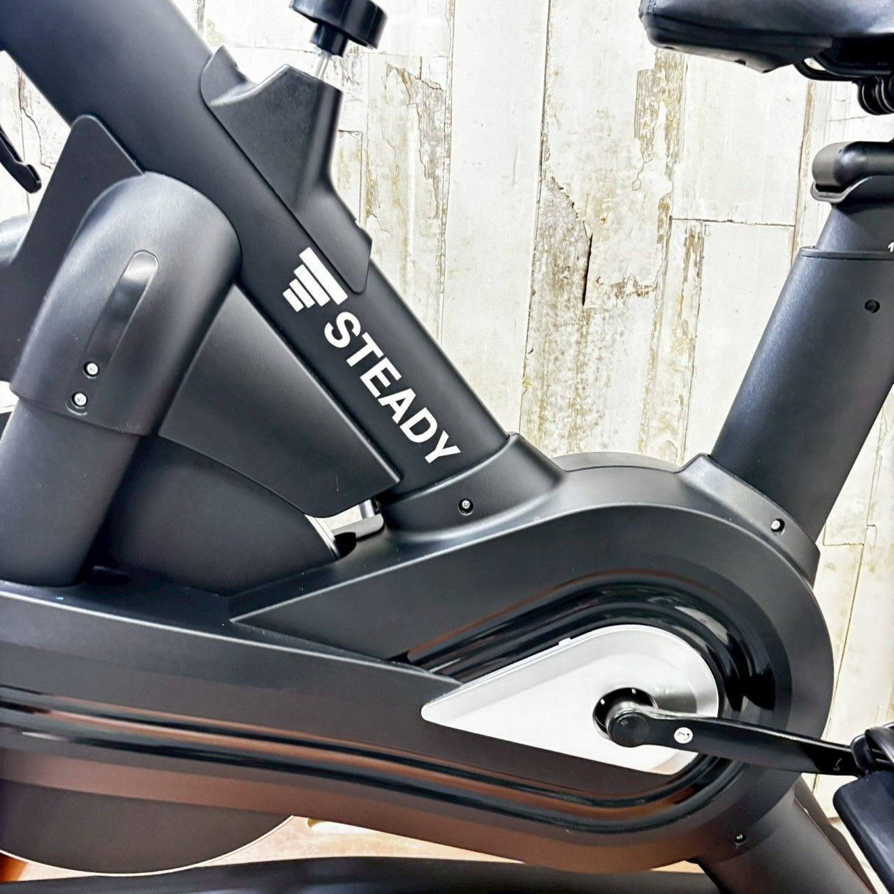 STEADY ステディ