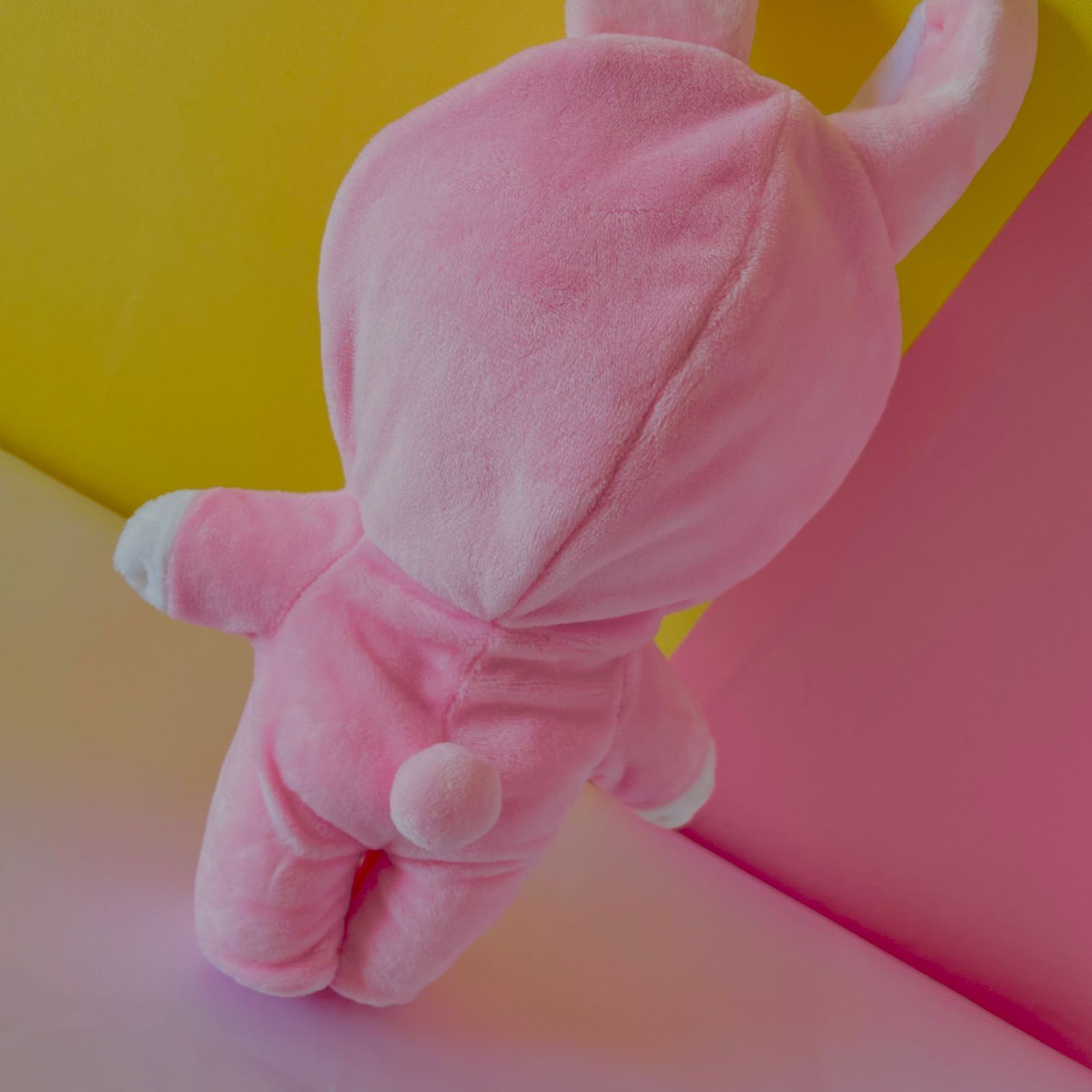 BTS グク 20cmぬいぐるみ＋cooky着ぐるみのセット - メルカリ