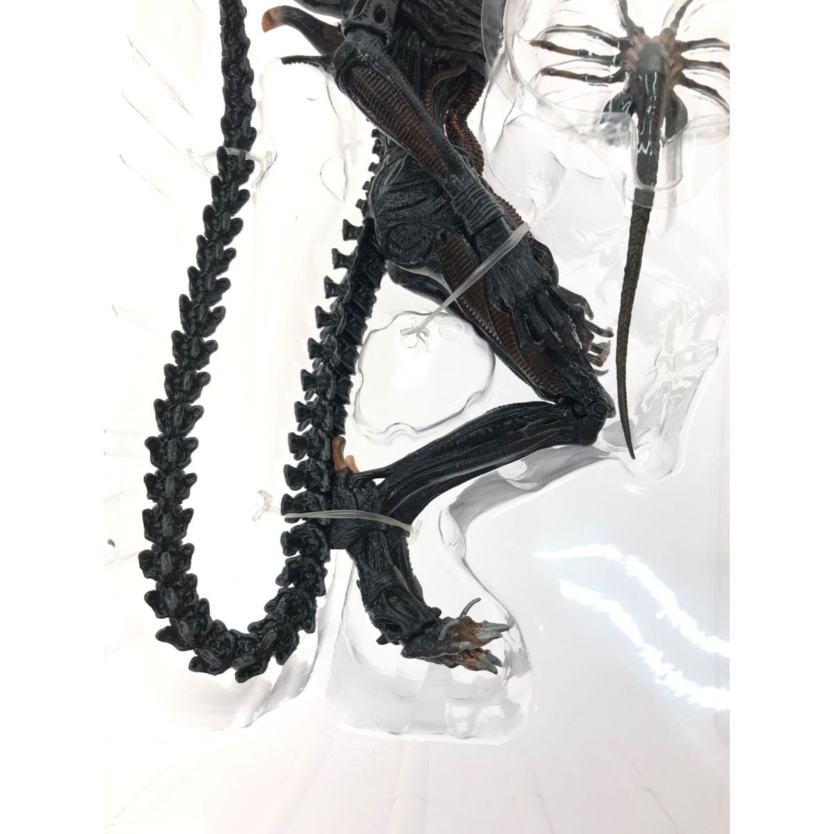 ▼▼NECA ネカ フィギュア エイリアン ロムロス アルティメット スコーチド ゼノモーフ エイリアン:ロムルス/ スコーチド ゼノモーフ アルティメット 7