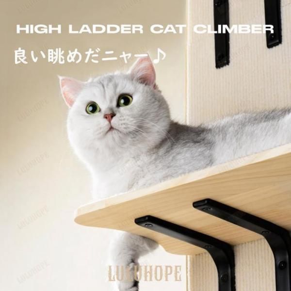 猫家具 多頭飼い対応