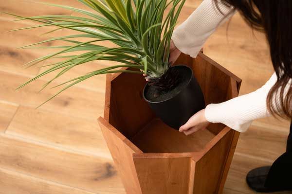 天然木 ミンディ