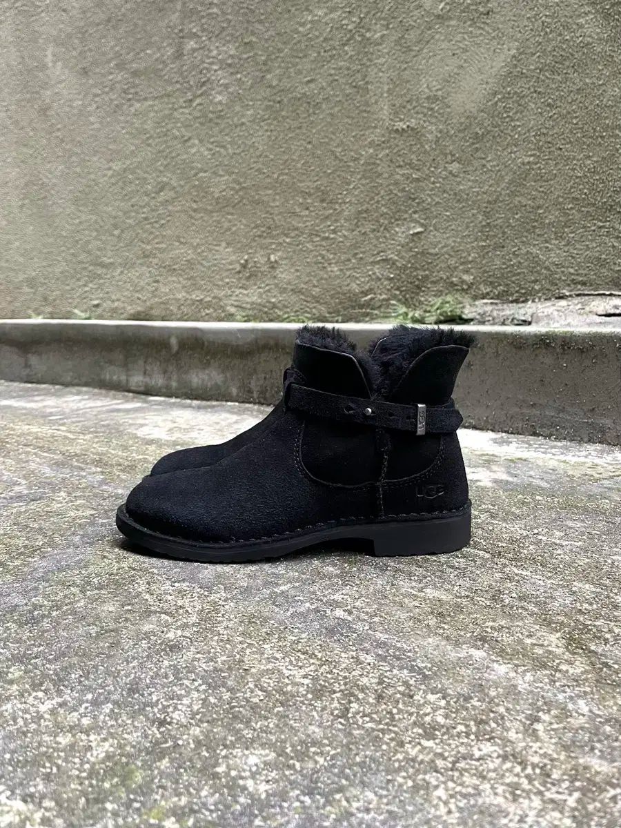 Ugg Elisa