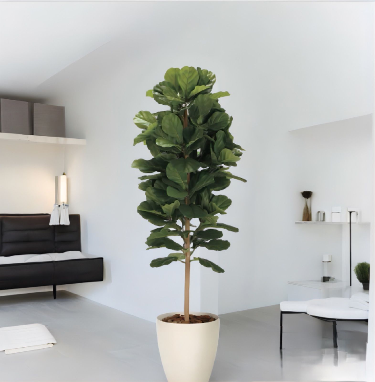 光触媒 人工観葉植物 ウォールグリーン フェイクグリーン クッカバラ