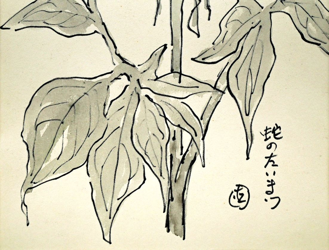 坂本 直行「蛇のたいまつ」水彩画・3号 六花亭包装紙 北大山岳部