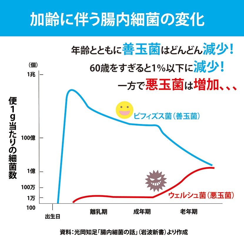 お試し3日分 リタヘルス5000 乳酸菌5000億個 酪酸菌200万個 ビフィズス菌10億個