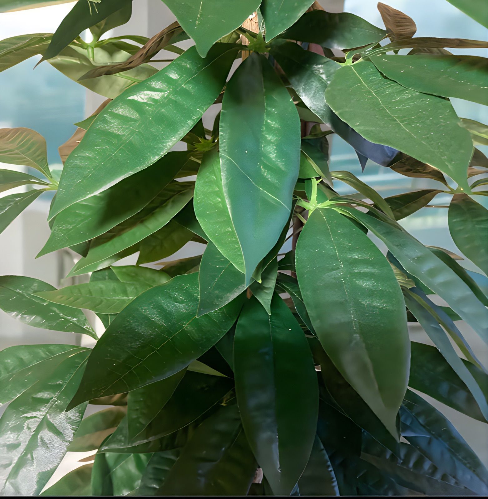 光触媒 人工観葉植物 ウォールグリーン フェイクグリーン スリムパキラ