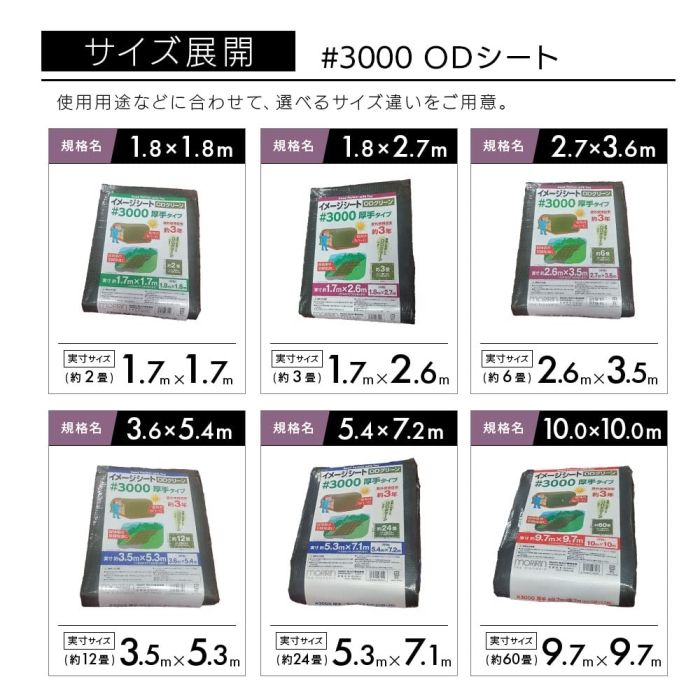 2営業日で発送 モリリン