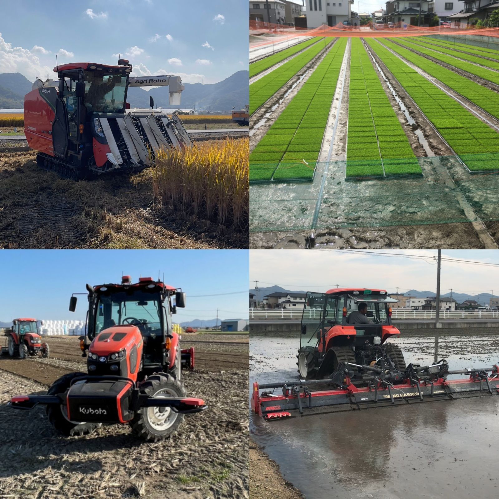 農家直送 単一原料米