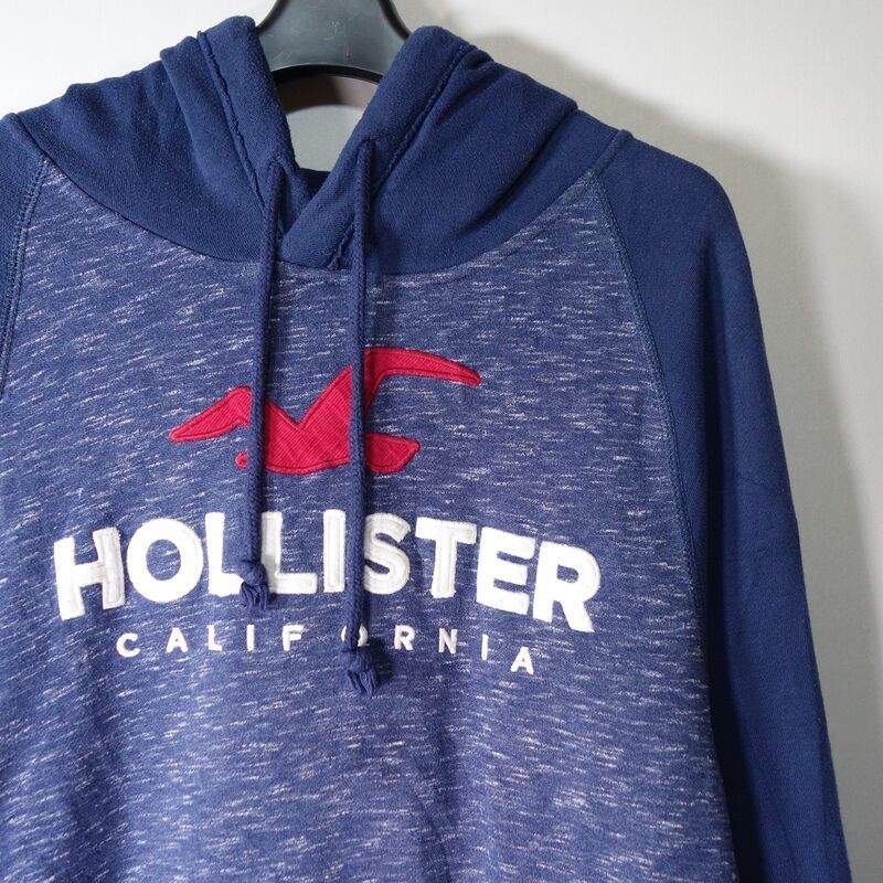 HOLLISTER パーカー グラデーション - トップス