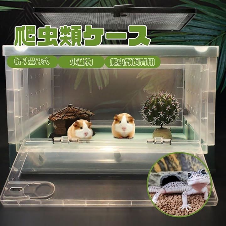 EU SOU エウソウ 爬虫類ケース 折り畳み式 爬虫類飼育 小動物 爬虫類ケージ リクガメ 両生類 レオパ トカゲ 白 L
