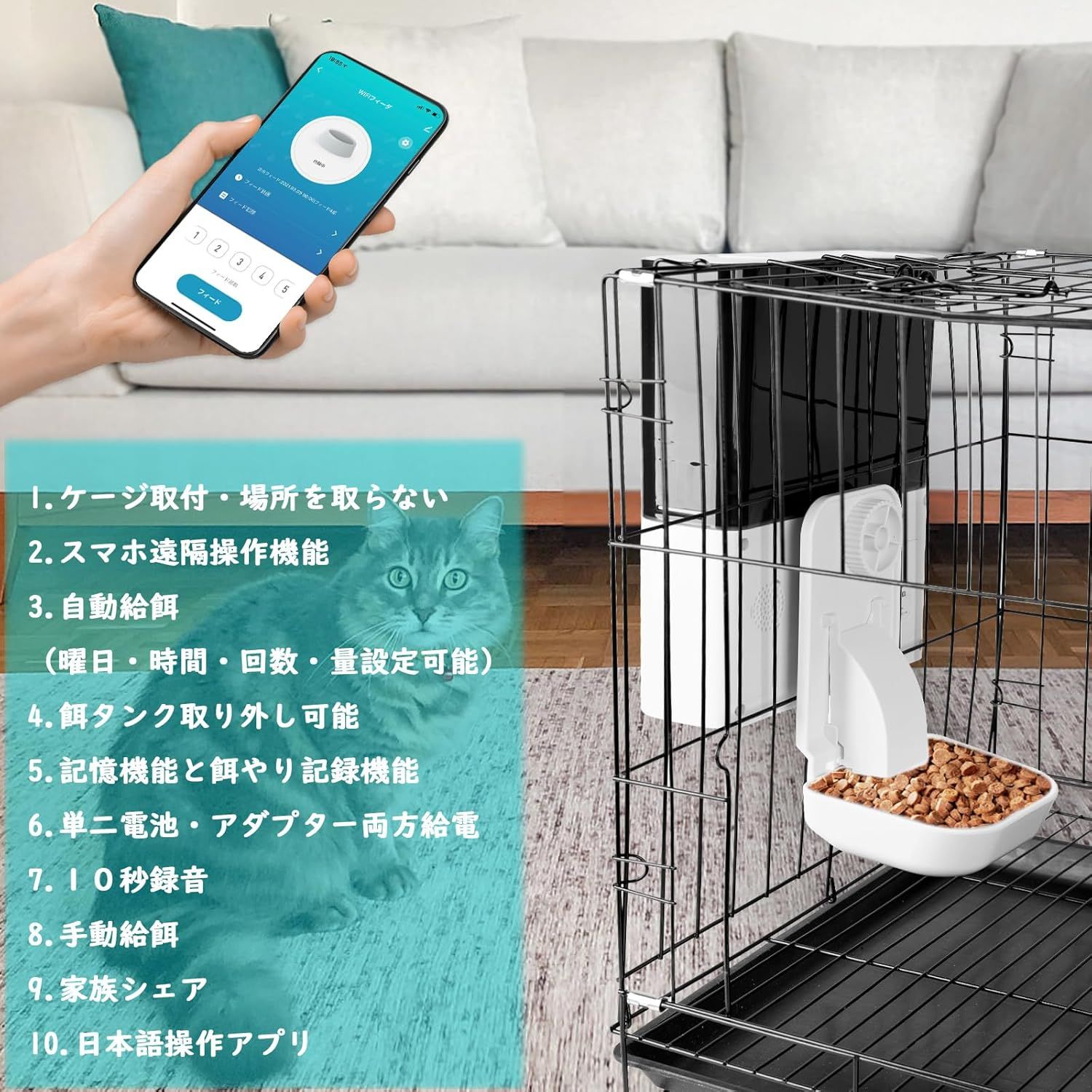 猫 ウサギ