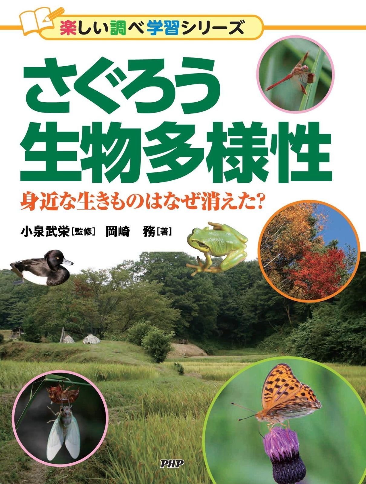 Ocean Life (海の生きもの) 彫刻アクセサリー 楽天市場】海の生き物【4