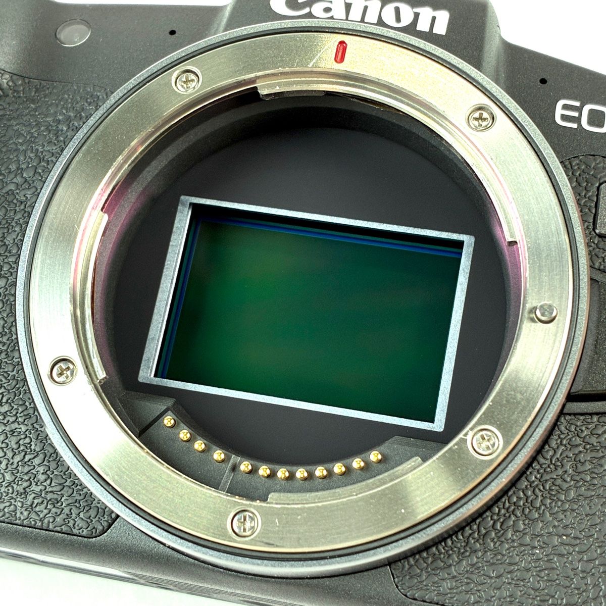 キャノンEOS RP ボディ キヤノン Canon EOS RP ボディ デジタル ミラー