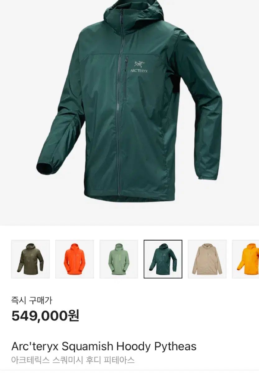 ARC TERYX スコーミッシュ フーディ ピテアス M 103程度