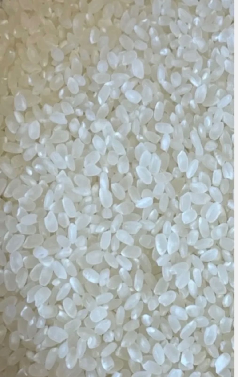 新米】大分県産 なつほのか 白米20kg 令和7年産 - メルカリ