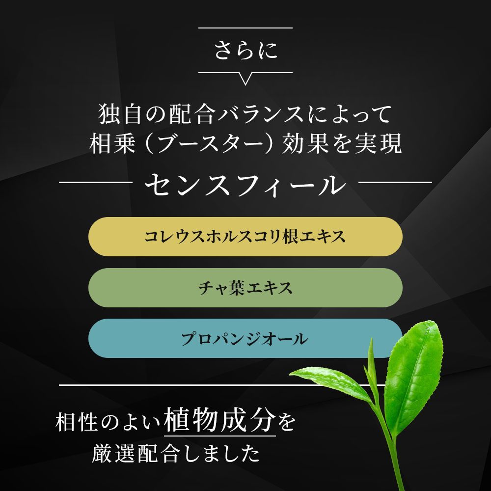 【新品未使用】 ソシア ボディセンス 4g 練り香水 5個セット Amazon | ボディセンス 練り香水 メンズ モテる香水 ムスク 微香
