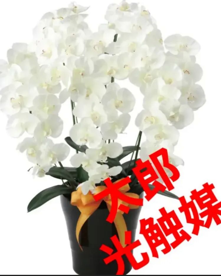 光触媒　人工観葉植物　フェイクグリーン　プレミアム胡蝶蘭7本立W 光触媒 人工観葉植物 フェイクグリーン プレミアム胡蝶蘭7本立W 【公式