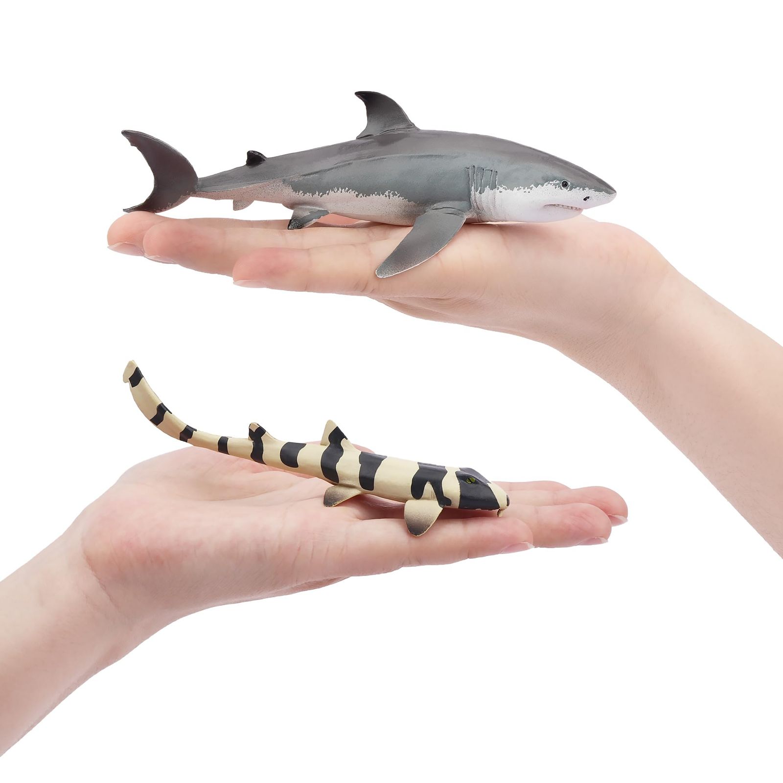 新品未使用　銀貨 4枚セット サメ 楽天市場】TOYMANY 動物フィギュア 8PCSサメフィギュア 海洋動物