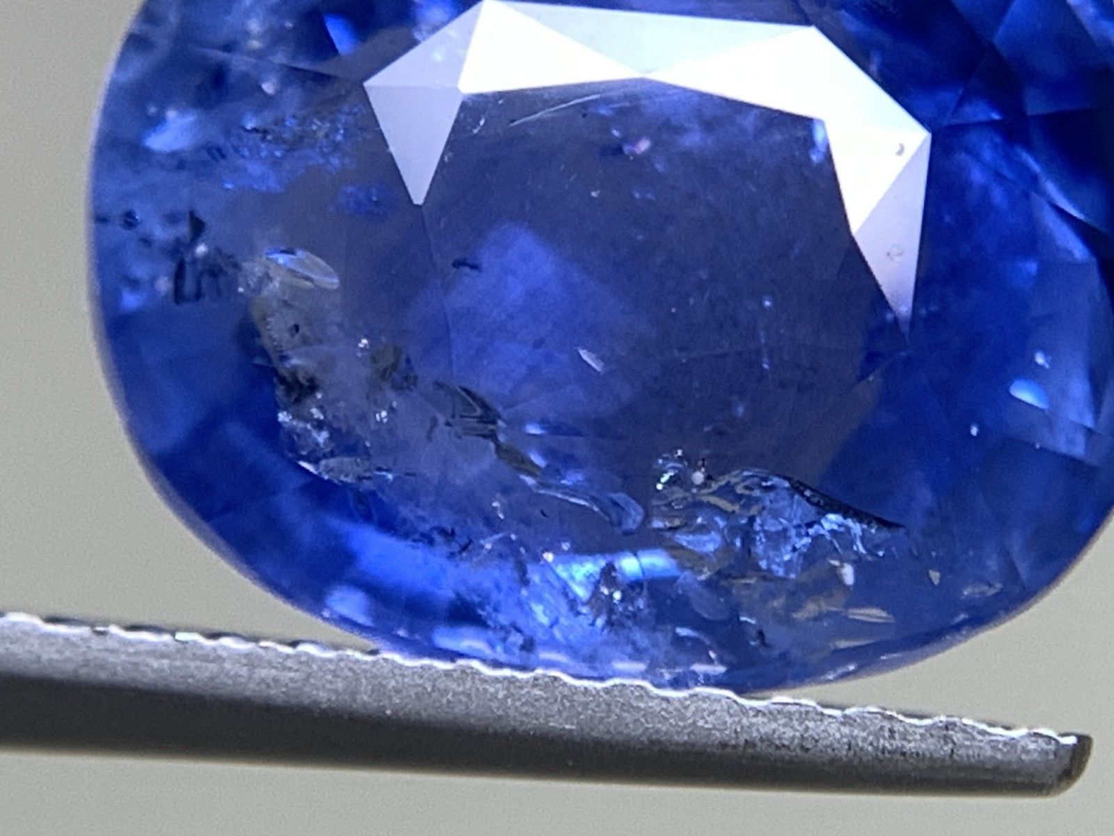 サファイア 6.91ct AIGS宝石鑑別書付き Cornflower Blue Sri Lanka  