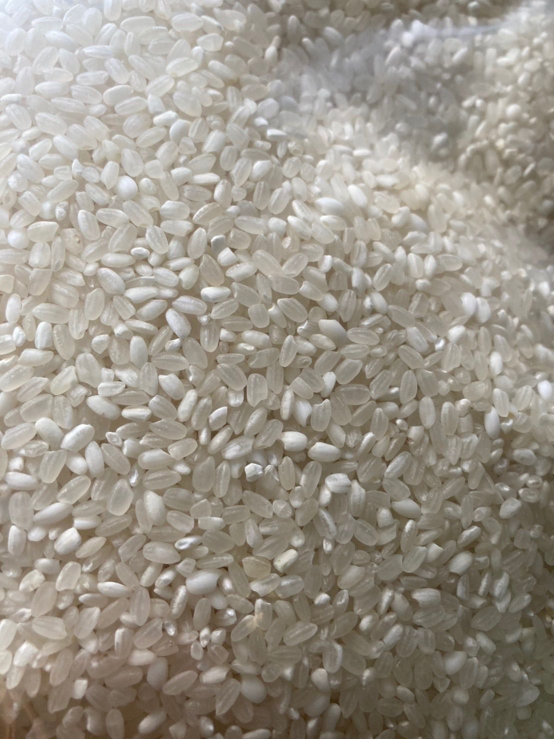 リピーター様専用コスパ米20kg 白米精米 OKBライス - メルカリ