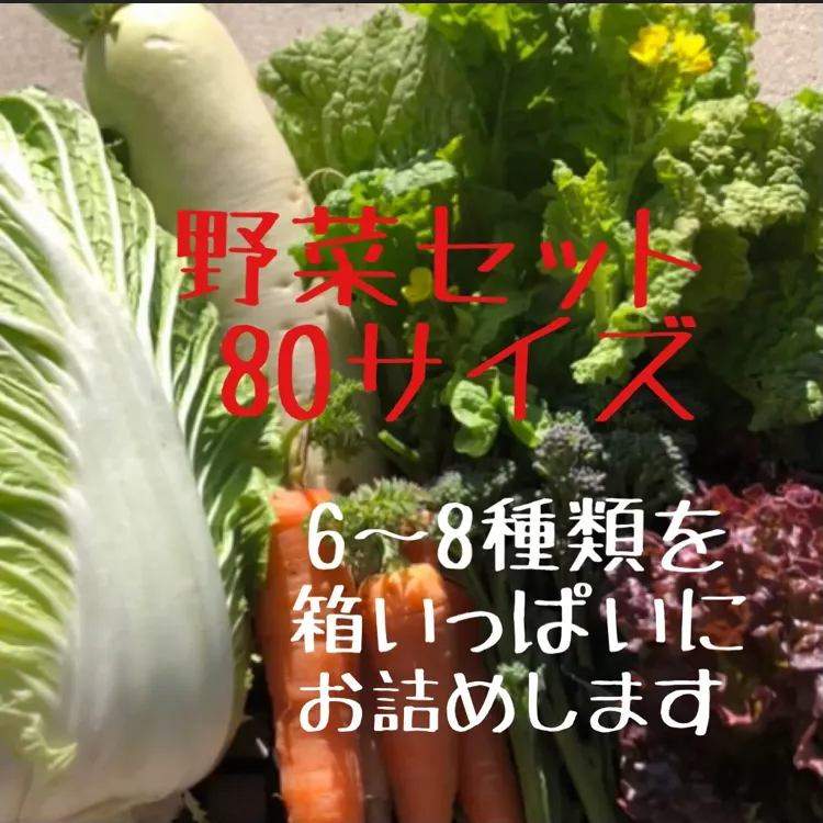 愛知県西尾市産　とうもろこし入り　野菜の詰め合わせ　80サイズ