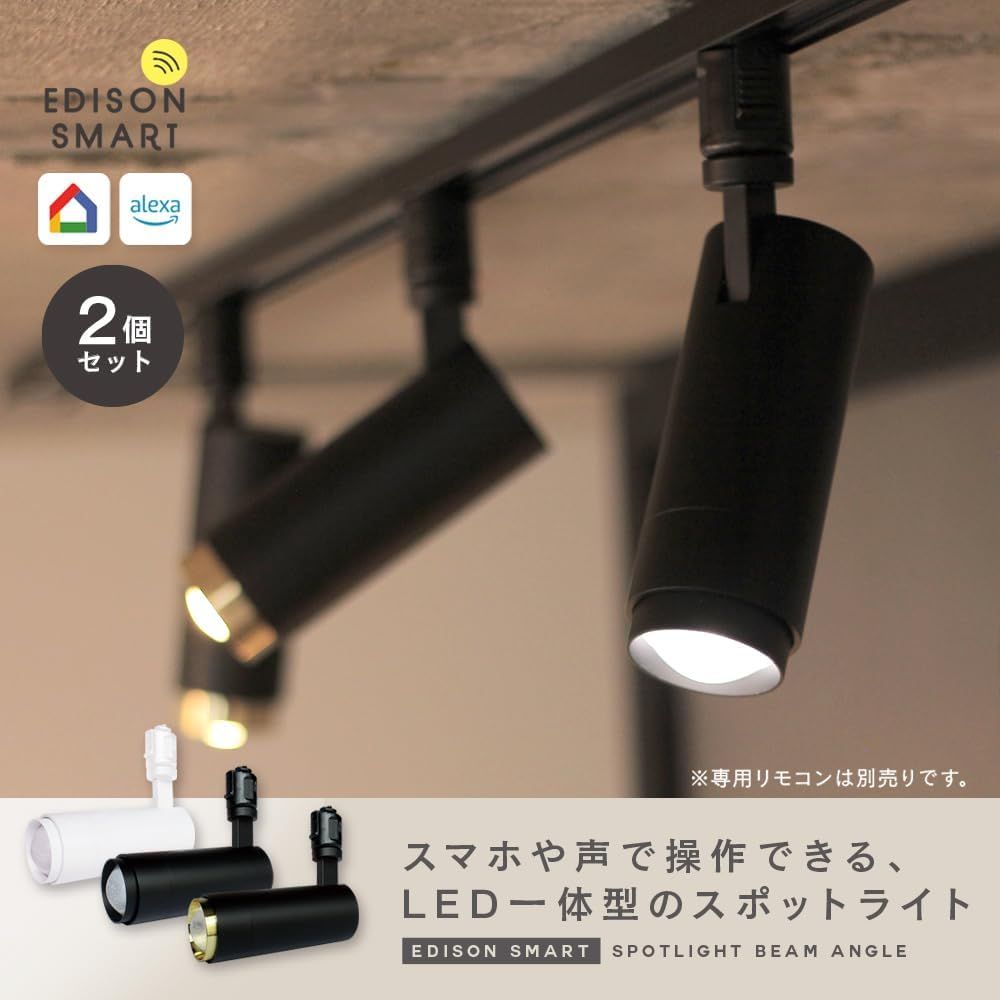 大光電機 ダクトレール用スポットライト DSL5542AB 4台セット大光電機
