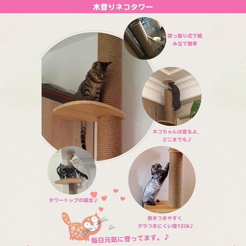 猫タワー