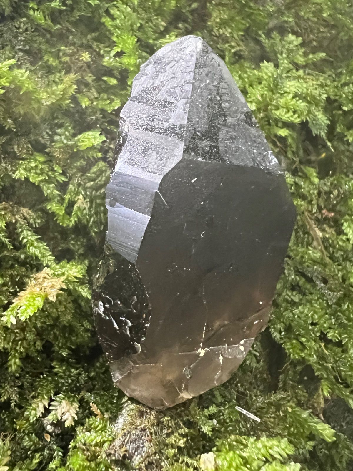 龍脈の精髄 ― 宮崎産黒水晶 闇を封じる最強の護り 保護猫活動支援