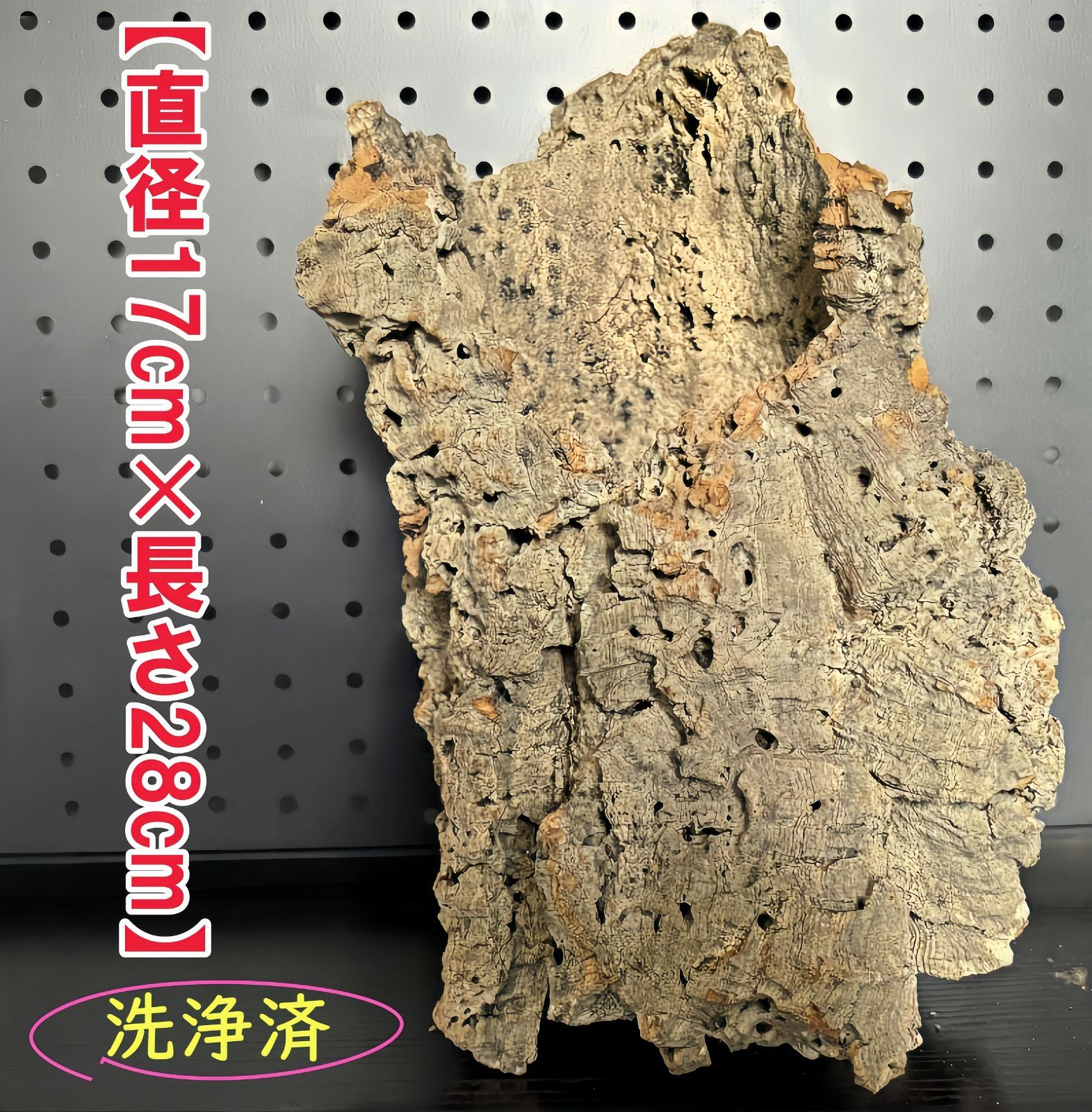 25D712 ポルトガル産 キャノンコルク コルク樹皮 コルク板 バージン