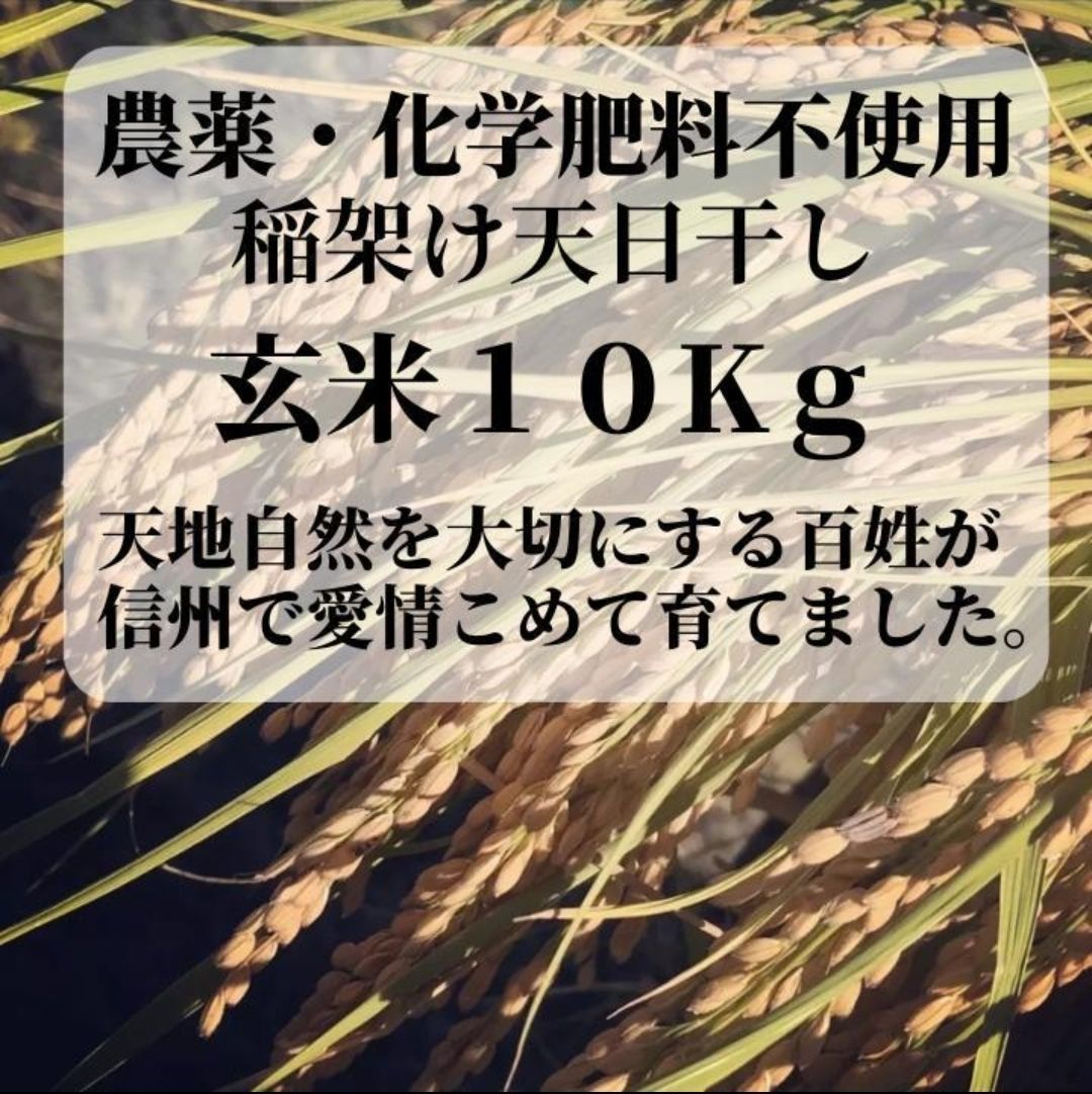 農薬・化学肥料不使用 天日干し 玄米10kg 品種イセヒカリ　令和5年度産