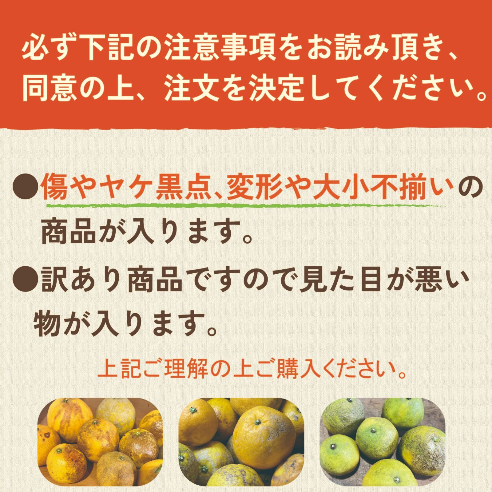 【訳あり】河内晩柑　みしょうゴールド　１０ｋｇ　※東北地方の方は、必ず注文する前に説明文を読んでいただきご理解されてからの購入をお願いいたします。