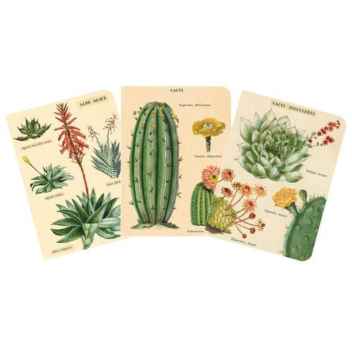 まとめ 銀座吉田 ノート ミニノートブックセット サボテン 44-112 ×6セット