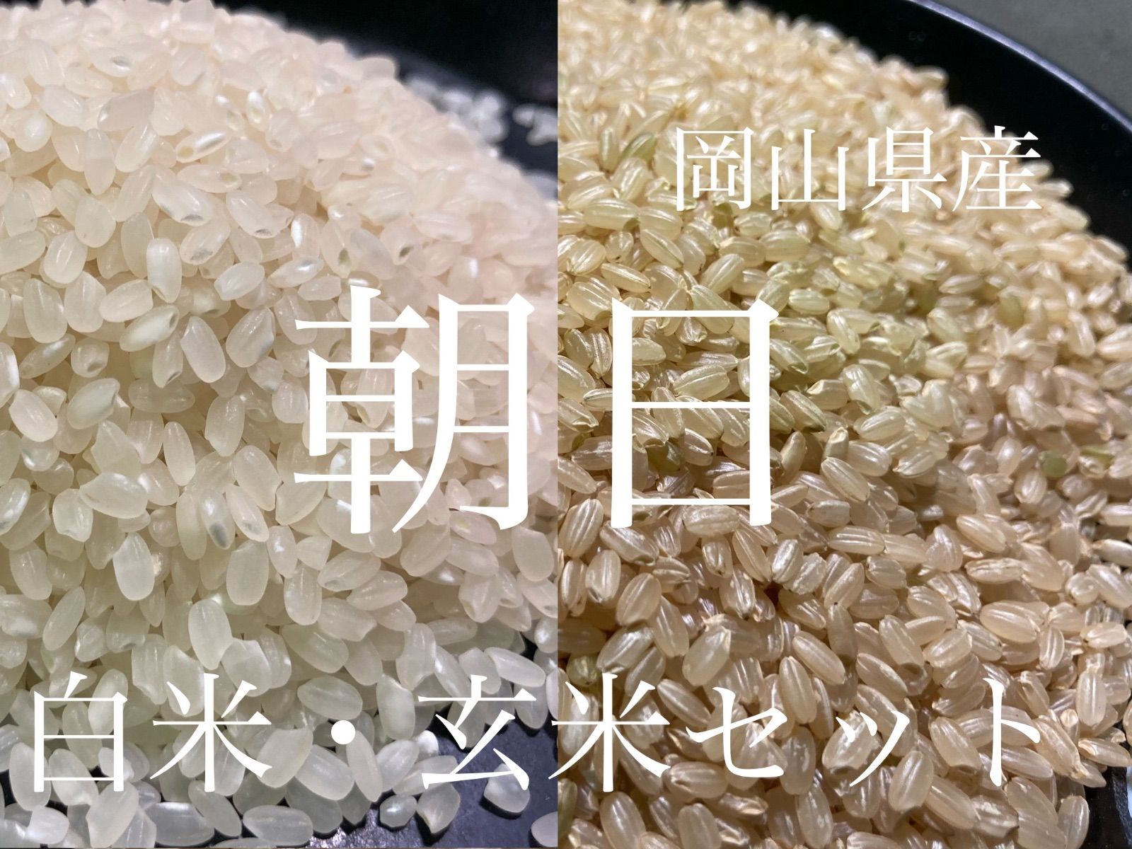 岡山県産朝日米 令和6年産 玄米5kg 白米5kgセット