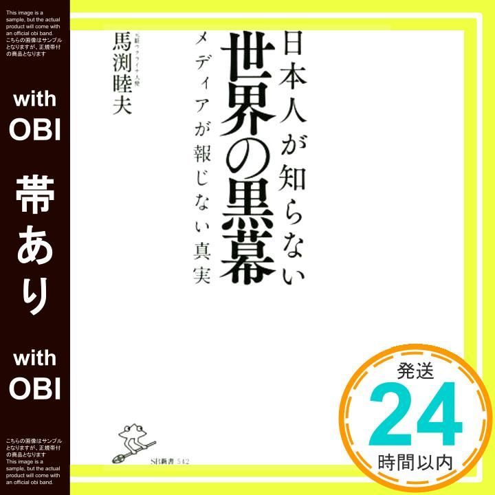 帯あり 日本人が知らない世界の黒幕 メディアが報じない真実 SB新書 新書 馬渕睦夫_08