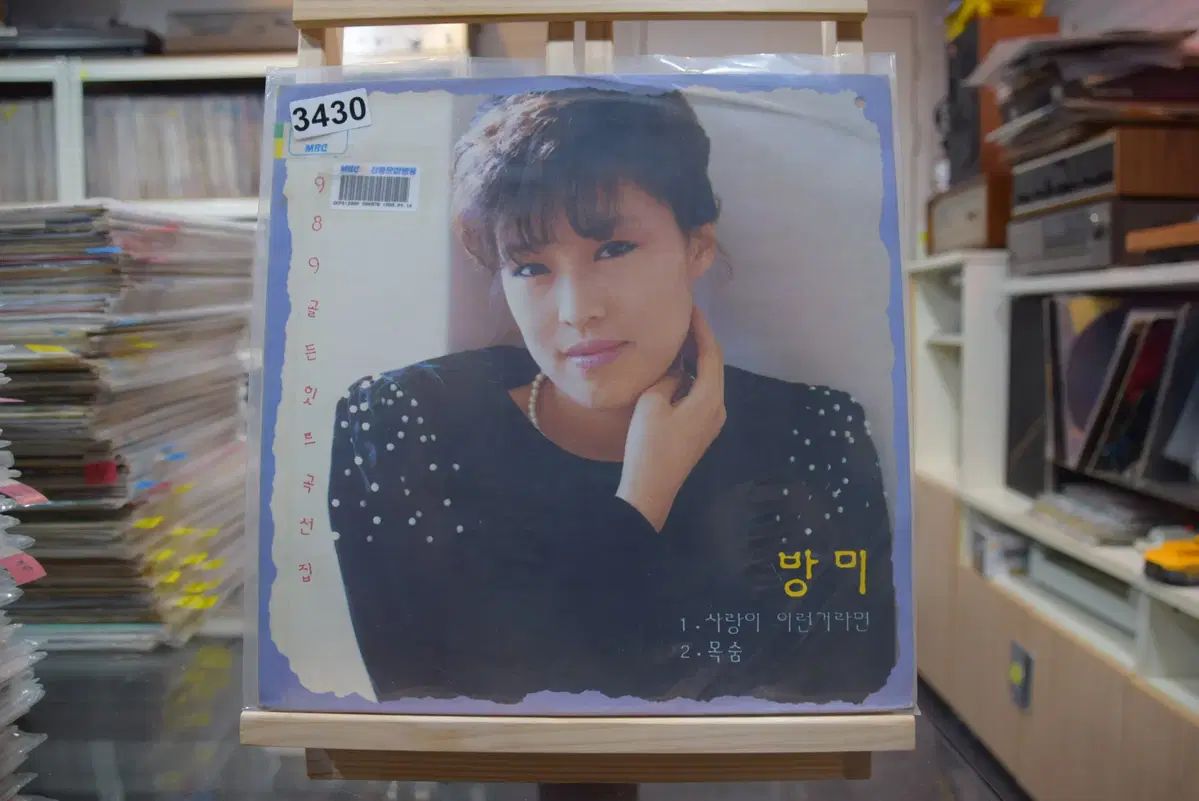 バンミ ミント 愛は こんなものなら