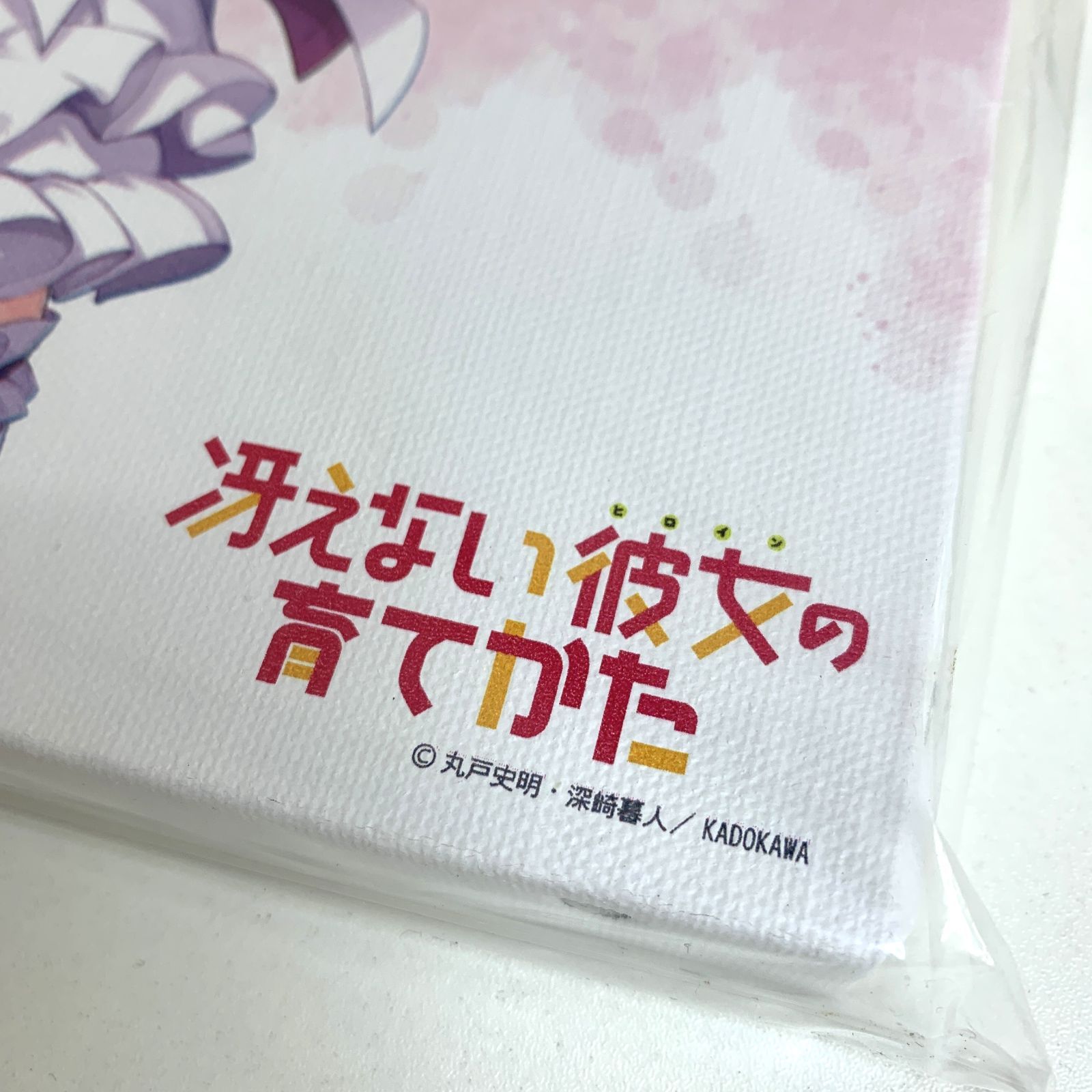 【限定品】冴えない彼女の育て方　キャンパスアート(正方形) Amazon.co.jp: アクシアキャンバスアートシリーズ No.003-F6