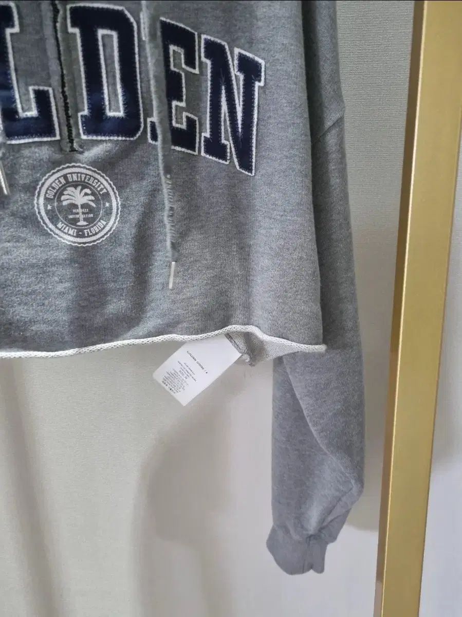 フード付きTシャツ