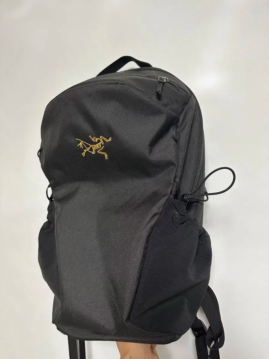 ARC TERYX アークテリクス Mantis マンティス 16 バックパック