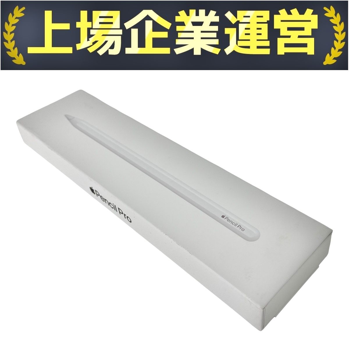 Apple Pencil pro MX2D3ZA/A アップル ペンシルプロ A2538 iPad