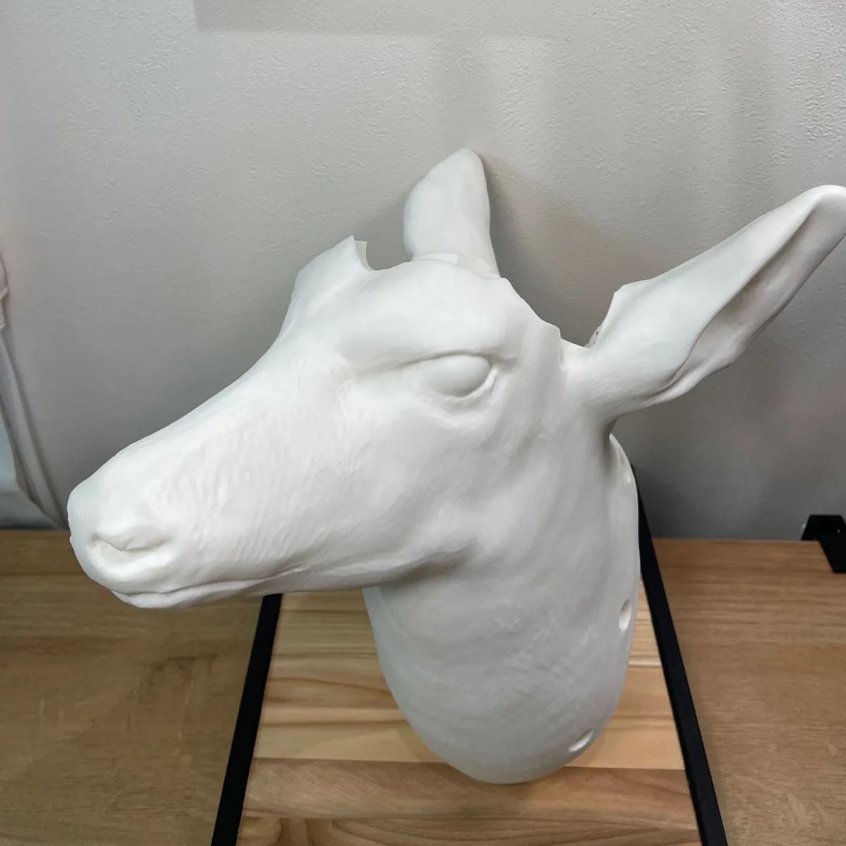 ビカクシダ着生板 鹿の3Dモデル ver.3 マッドホワイト 210×280×235