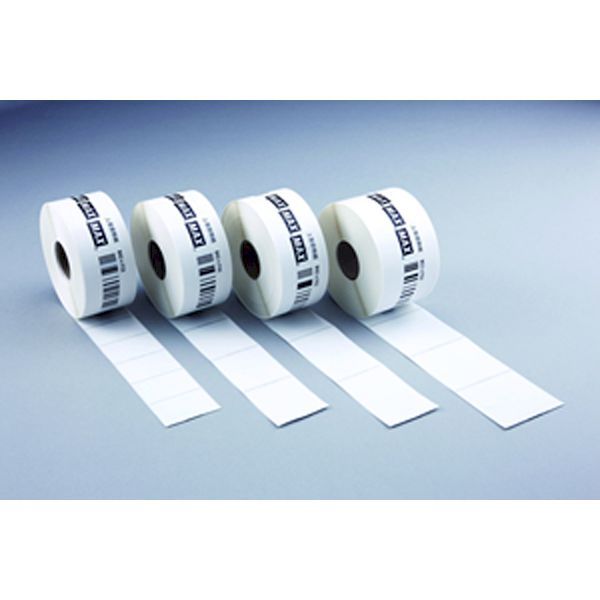 人気 伊藤表正作 高麗棚