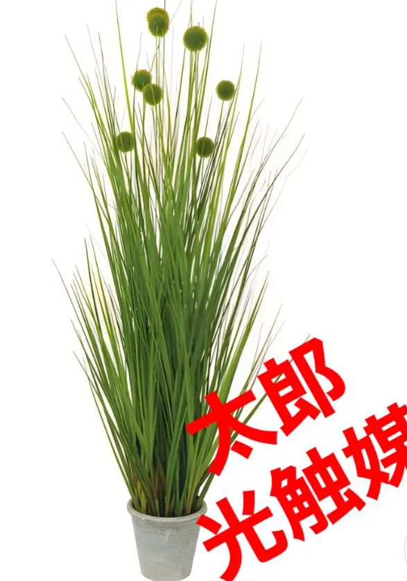 光触媒　人工観葉植物　ウォールグリーン　フェイクグリーン　トネリコ高さ1.8m 楽天市場】光触媒 光の楽園 トネリコ1.8m インテリア フェイクグリーン