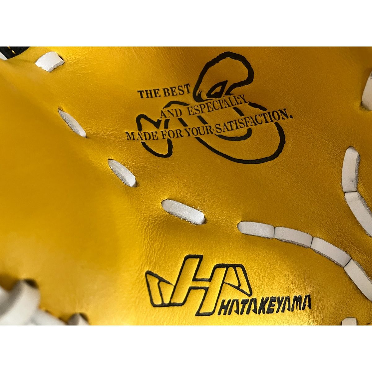 金本知憲モデル